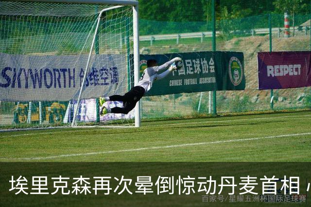 埃里克森再次晕倒惊动丹麦首相 心脏除颤器发挥作用