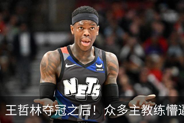王哲林夺冠之后！众多主教练懵逼，就这个数据跟胡金秋差远了