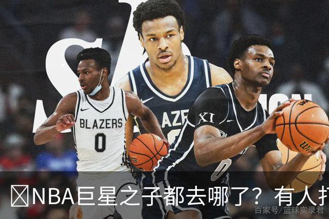 🌟NBA巨星之子都去哪了？有人打NBA 有人卖鞋 有人成了时尚名媛